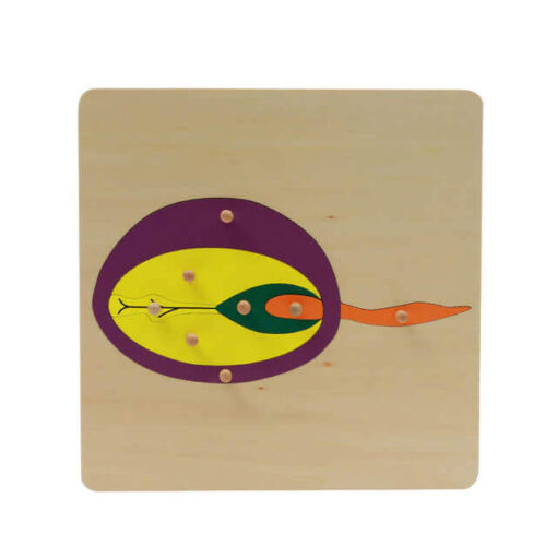 Puzzle-graine-Montessori