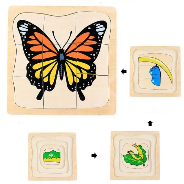Puzzle-Évolutif-3D-Montessori-Plantes-Animaux-papillon