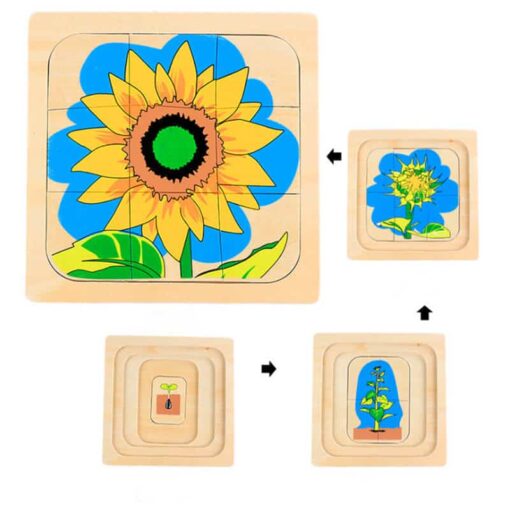 Puzzle-Évolutif-3D-Montessori-Plantes-Animaux-plante
